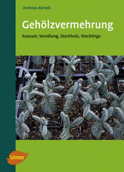 Gehölzvermehrung