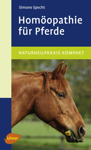 Homöopathie für Pferde