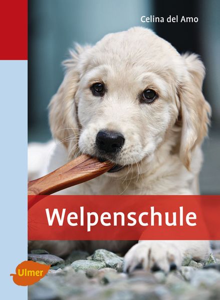 Welpenschule