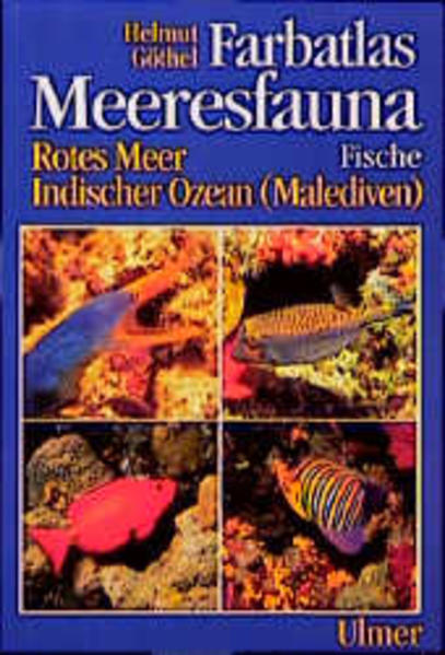 Farbatlas Meeresfauna. Rotes Meer, Indischer Ozean (Malediven) / Fische