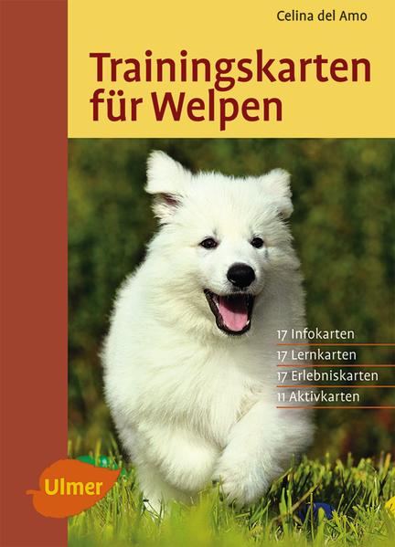 Trainingskarten für Welpen