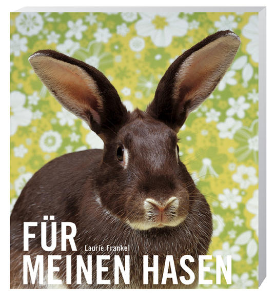 Für meinen Hasen