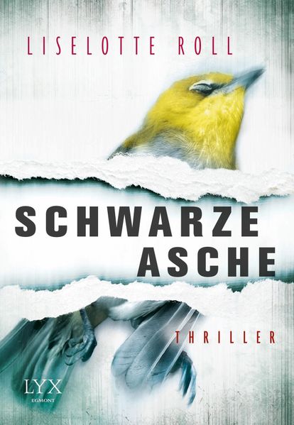 Schwarze Asche