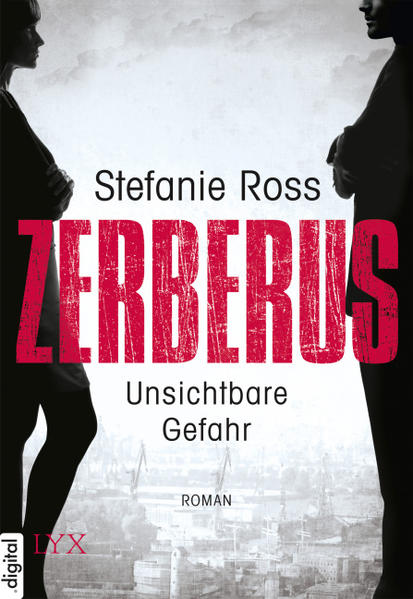 Zerberus - Unsichtbare Gefahr