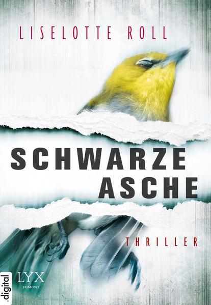 Schwarze Asche
