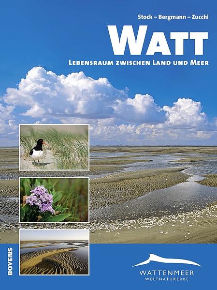 Watt