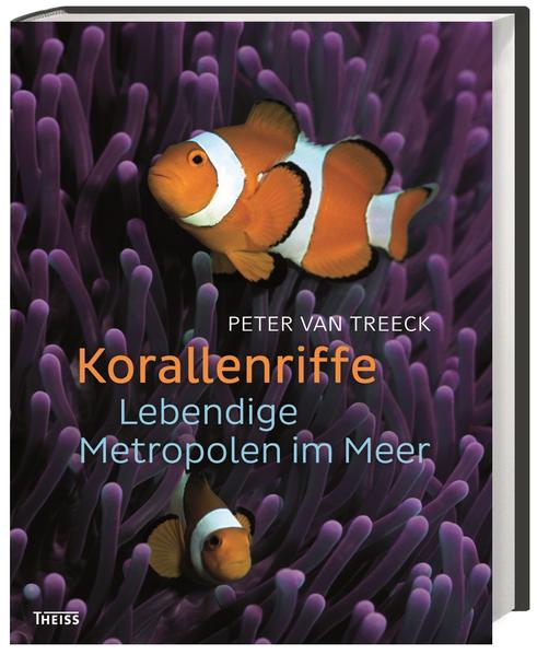 Korallenriffe