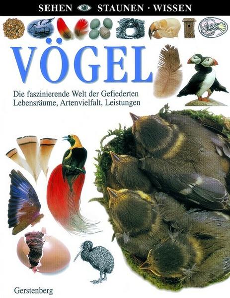 Vögel