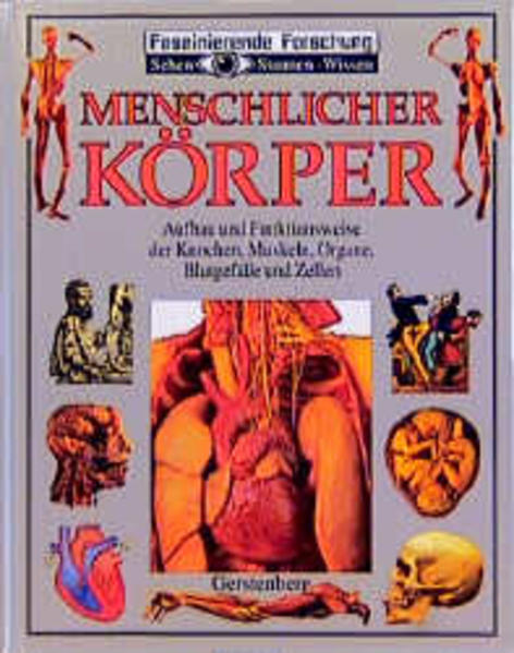 Menschlicher Körper