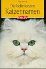 Die beliebtesten Katzennamen