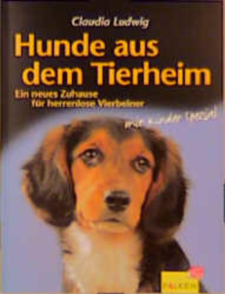 Hunde aus dem Tierheim