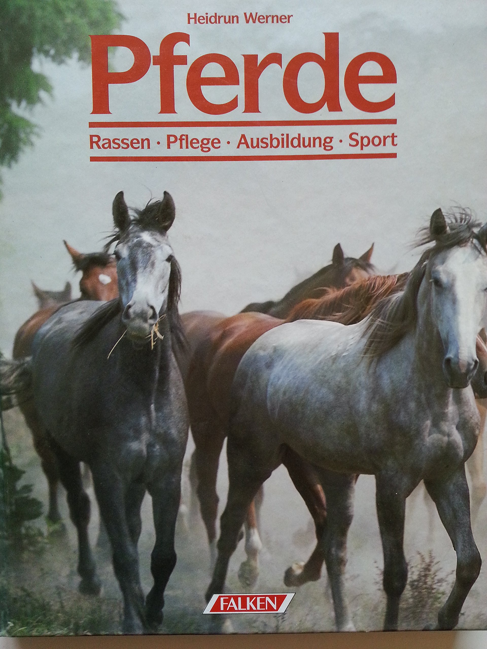 Pferde