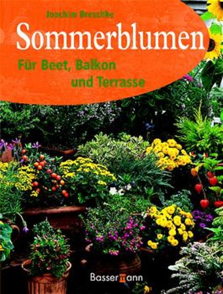 Sommerblumen
