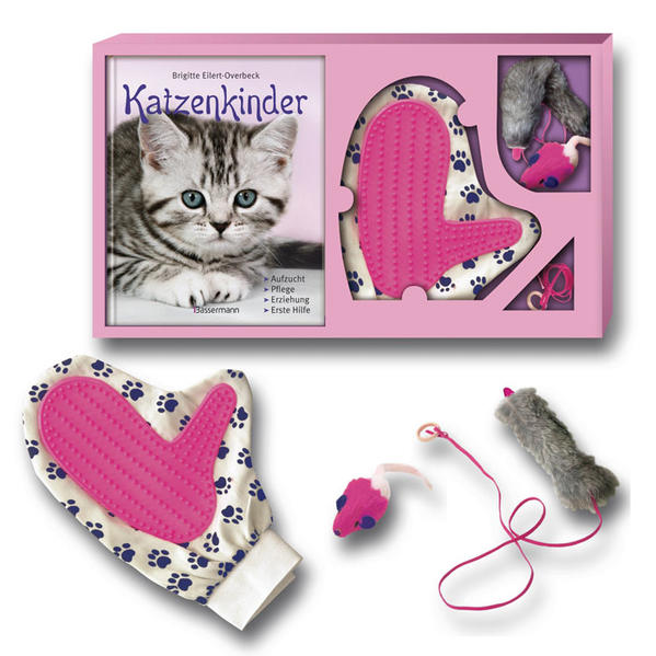 Katzenkinder-Set