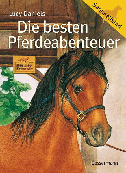 Die besten Pferdeabenteuer