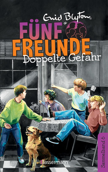 Fünf Freunde - Doppelte Gefahr - DB 06