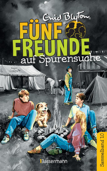 Fünf Freunde auf Spurensuche - DB 10