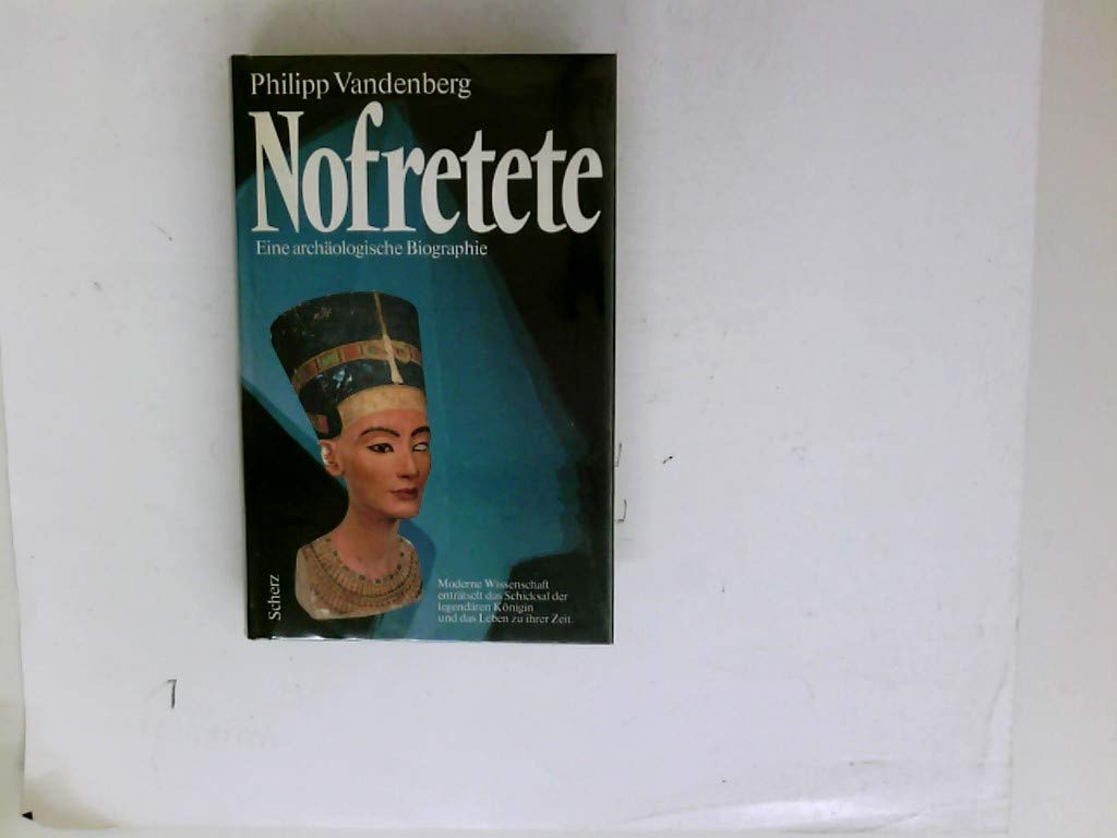 Nofretete - Eine archäologische Biographie