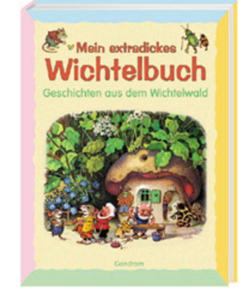 Mein kunterbuntes Wichtelbuch