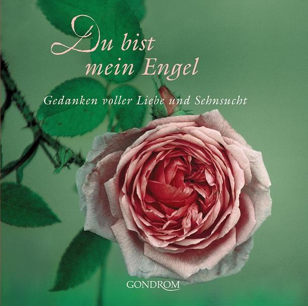 Du bist mein Engel