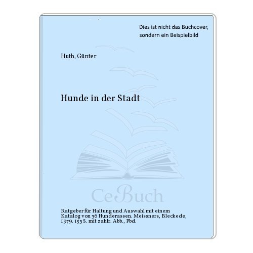Hunde in der Stadt
