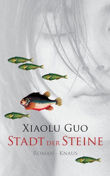 Stadt der Steine