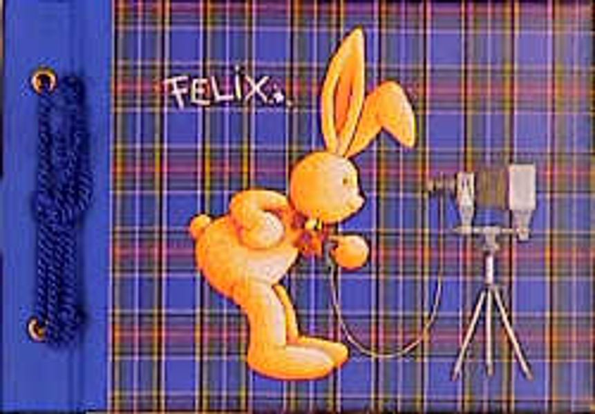 Felix-Fotospass