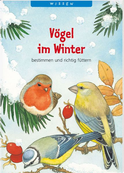 Vögel im Winter bestimmen und richtig füttern