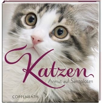BelLibri: Katzen - Anmut auf Samtpfoten