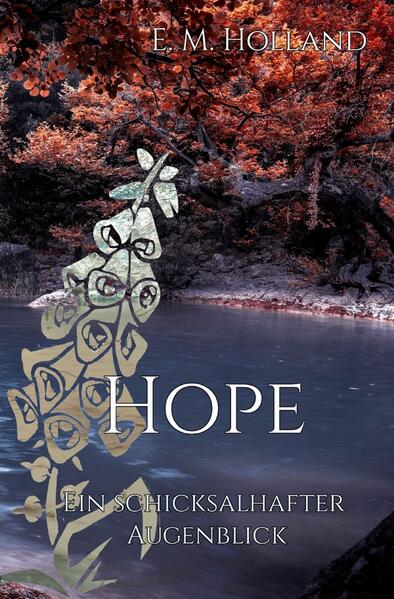 Schicksal-Reihe / Hope - ein schicksalhafter Augenblick