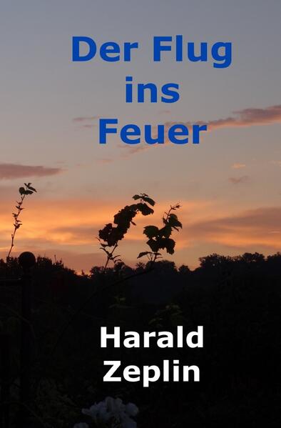 Der Flug ins Feuer