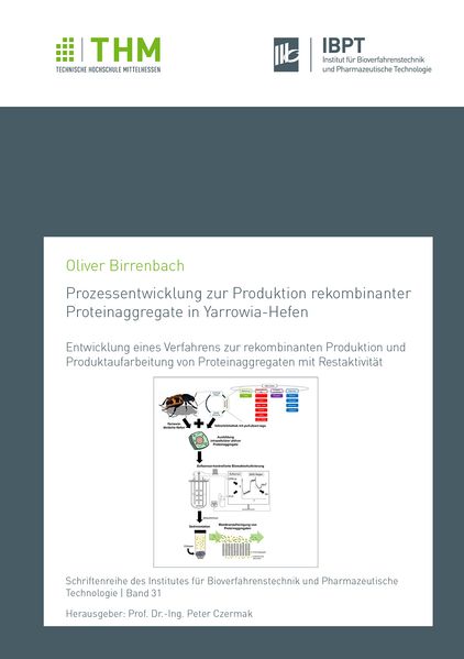Prozessentwicklung zur Produktion rekombinanter Proteinaggregate in Yarrowia-Hefen