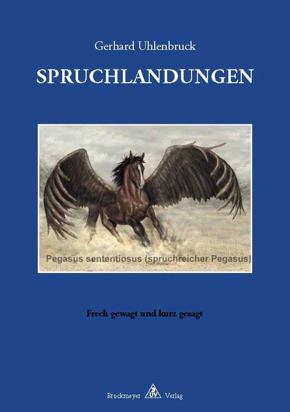SPRUCHLANDUNGEN