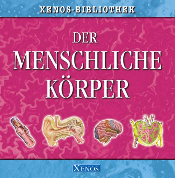 Der Menschliche Körper