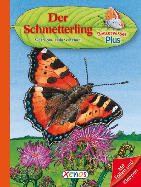 Besserwisser Plus - Der Schmetterling