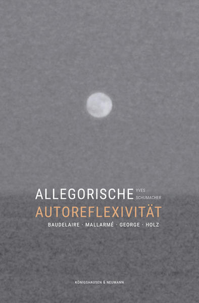 Allegorische Autoreflexivität