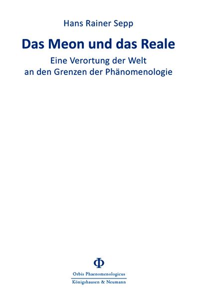 Das Meon und das Reale