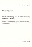 Die Modellierung und Parametrisierung des Ring Effektes