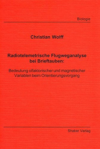 Radiotelemetrische Flugweganalyse bei Brieftauben