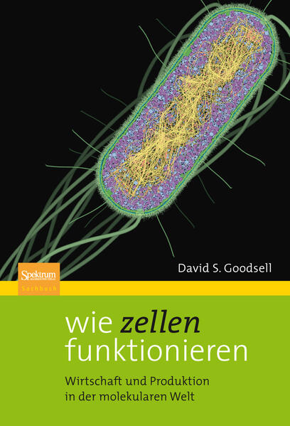 Wie Zellen funktionieren