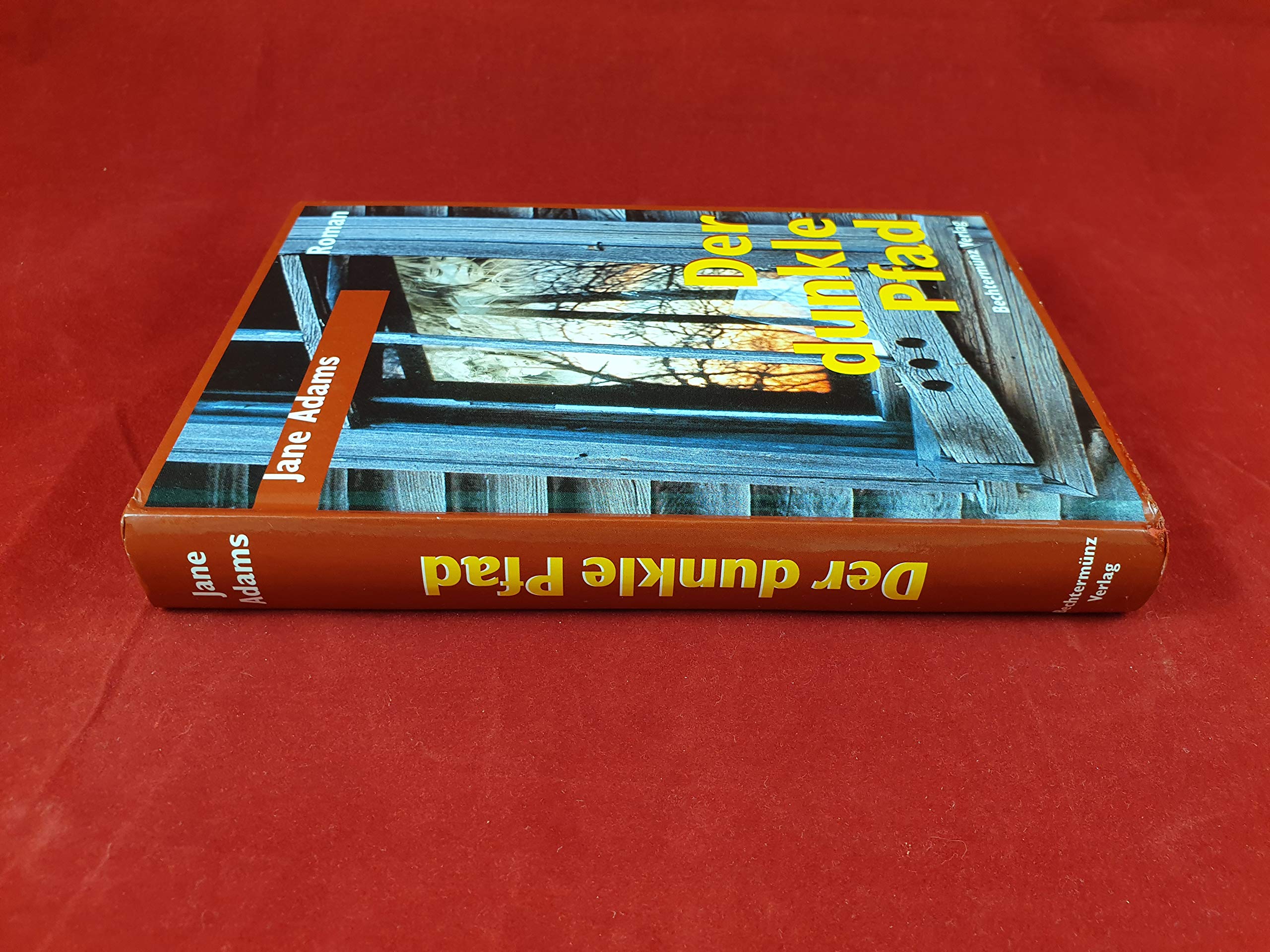 Der dunkle Pfad (Roman)