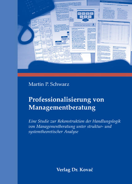 Professionalisierung von Managementberatung