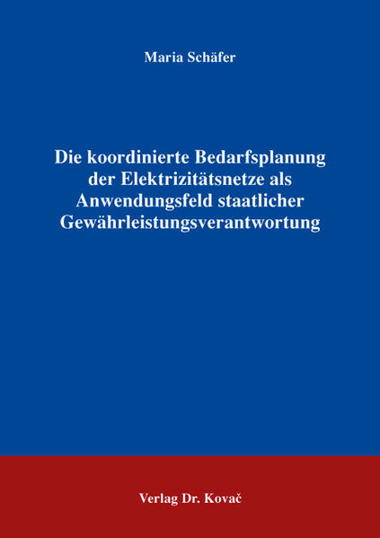 Die koordinierte Bedarfsplanung der Elektrizitätsnetze als Anwendungsfeld staatlicher Gewährleistungsverantwortung
