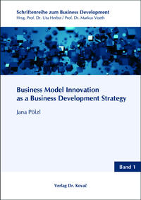 Business Model Innovation as a Business Development Strategy