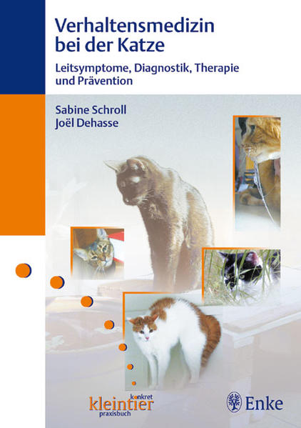 Verhaltensmedizin bei der Katze