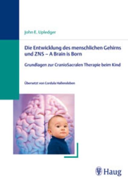 Die Entwicklung des menschlichen Gehirns und ZNS - A Brain is Born
