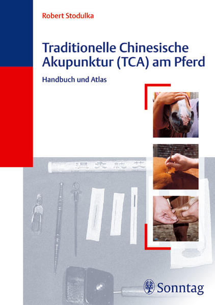 Traditionelle Chinesische Akupunktur (TCA) am Pferd