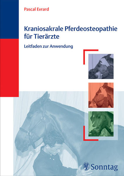 Kraniosakrale Pferdeosteopathie für Tierärzte