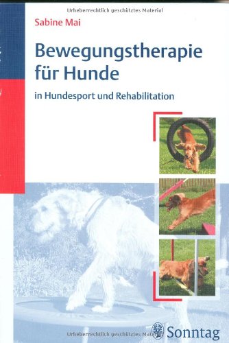 Bewegungstherapie für Hunde