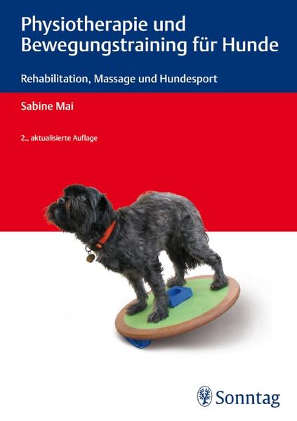 Physiotherapie und Bewegungstraining für Hunde